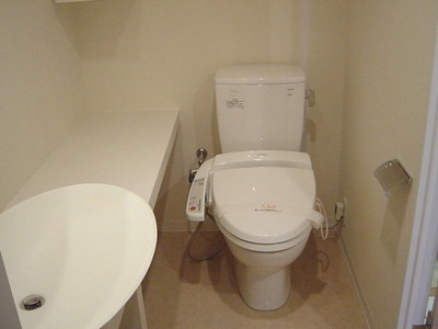 Toilet. Toilet (the other room in use)