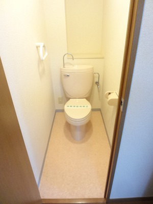 Toilet. Toilet