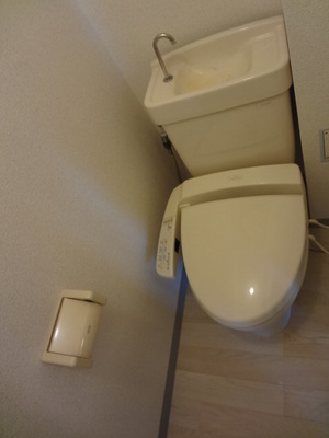 Toilet. The photograph is a 203, Room. 
