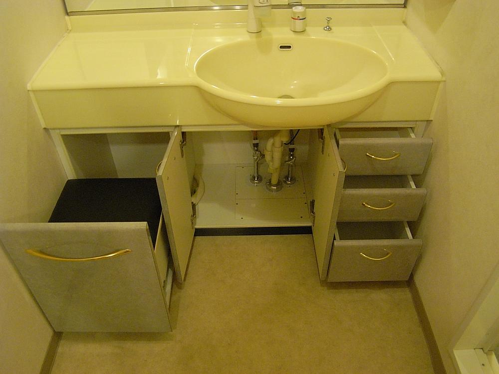 Wash basin, toilet. Vanity storage