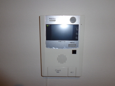 Security. Monitor with intercom