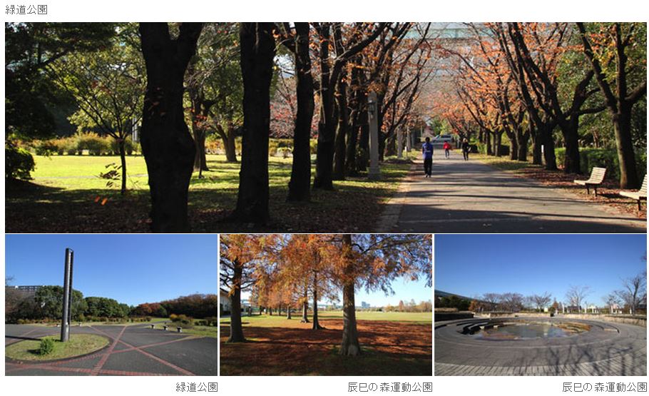 park. 158m to forest Seaside Park (park) of Tatsumi