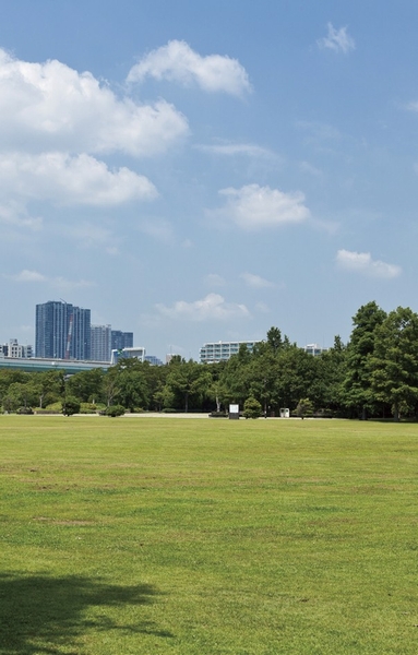  [Metropolitan Tatsumi Forest Seaside Park] (A 3-minute walk ・ About 200m) free Tennis, All eight of New sports enjoy, such as a putter golf, Barbecue Square ・ Dog run ・ Boy Square ・ Large park, which also includes playground equipment, etc.