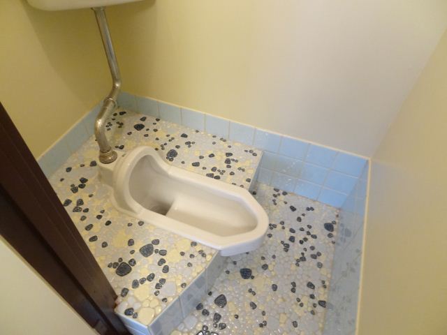 Toilet. Japanese-style toilet