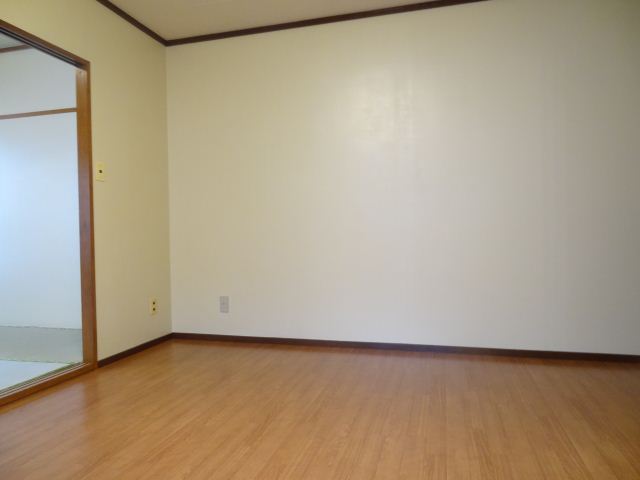 Living and room. Accent floor color