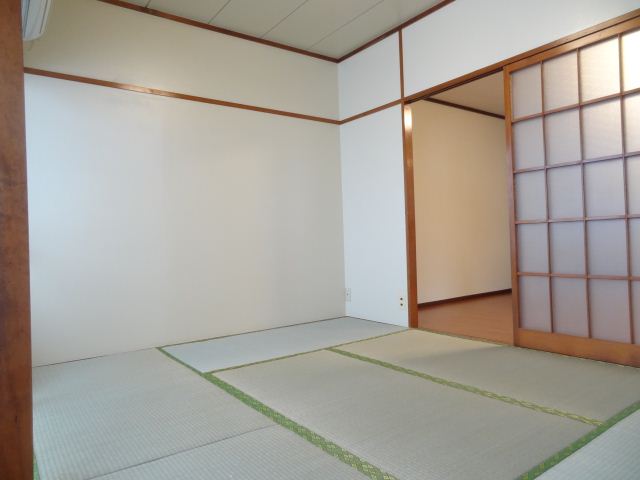 Living and room. Sunny Japanese-style room