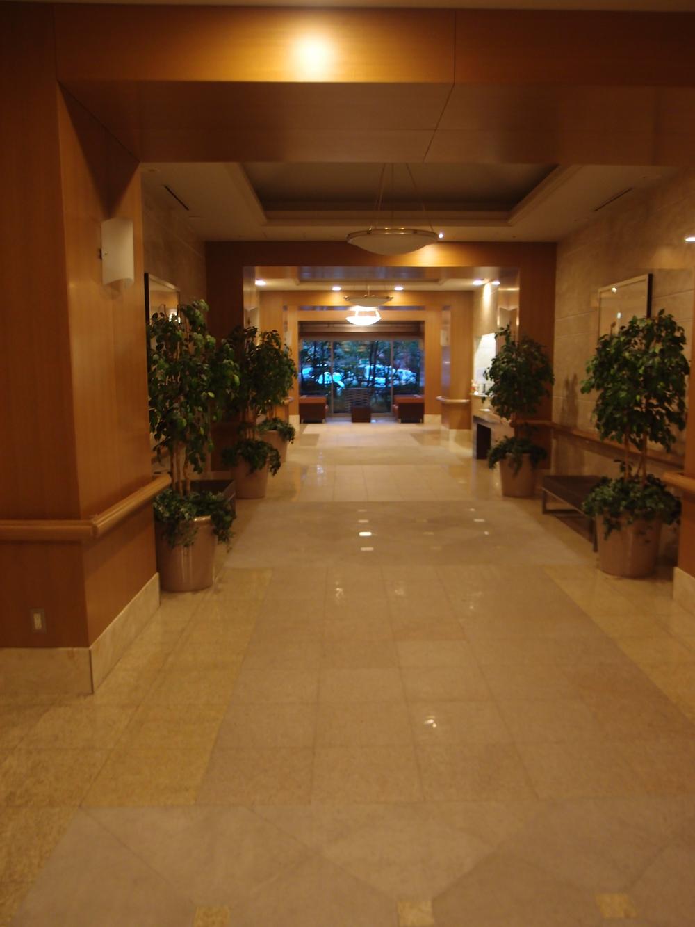 Entrance. Common areas