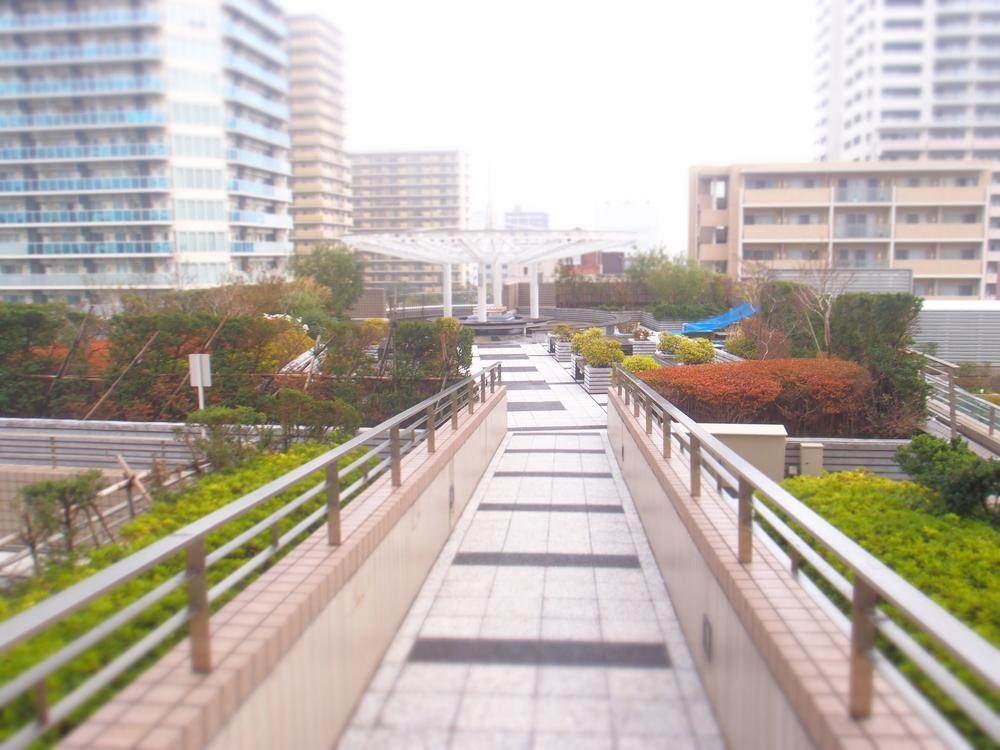 Other common areas. Tonai courtyard (2)