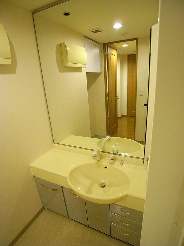 Wash basin, toilet. Independent board washroom the mirror and easy-to-use large