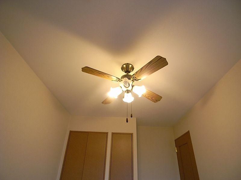 Other introspection. Stylish ceiling fans are located in the living room.