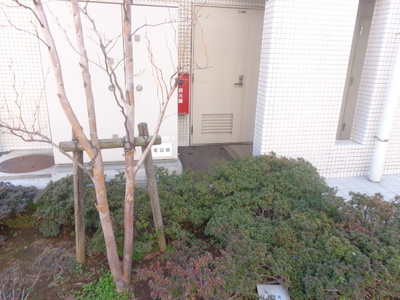 Other. Planting