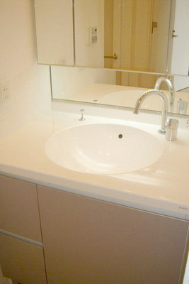 Washroom. Wash basin equipped independent