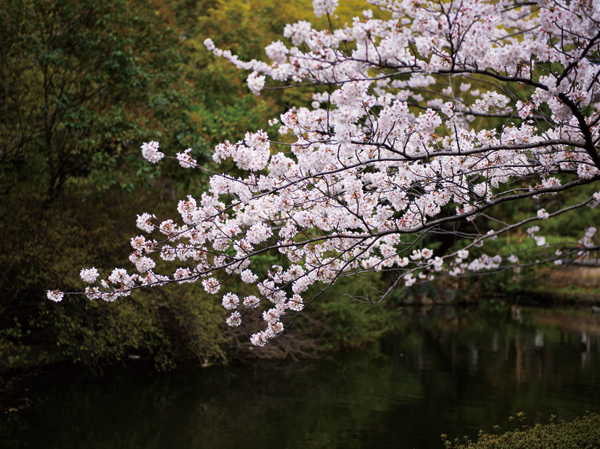 Surrounding environment. Municipal horizontal Jitsuken River Water Park (about 260m ・ 4-minute walk)