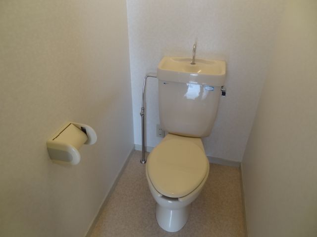 Toilet. Western-style toilet with cleanliness