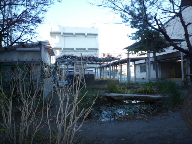 Primary school. 490m to Koto Ward second Oshima Elementary School (elementary school)