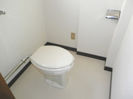 Toilet. Toilet space and spacious