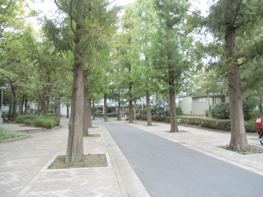 Other common areas.  ■ Bloom cherry blossoms in the spring there is a green road on site. Common areas