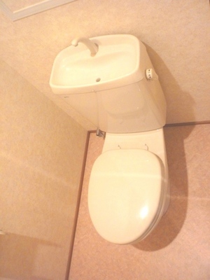 Toilet. It is a photograph of a separate room of the same properties.