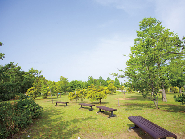 Other. Various sports can enjoy Tatsumi Forest Seaside Park (about 630m / An 8-minute walk)