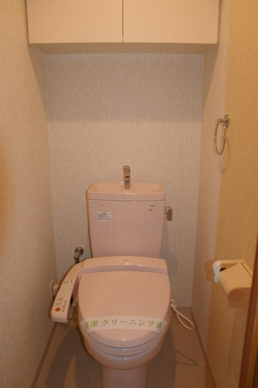 Toilet. Bathroom with a shower