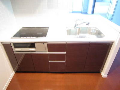 Kitchen. Two-burner IH hob / With grill