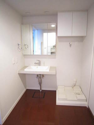 Washroom. Washbasin with shower