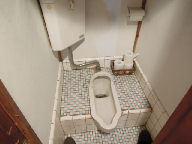 Toilet. Japanese-style toilet