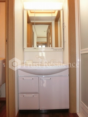 Washroom. Shampoo dresser