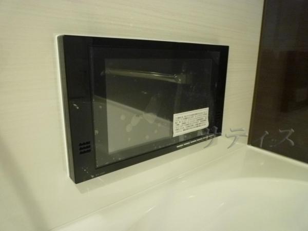Other Equipment. Bathroom TV