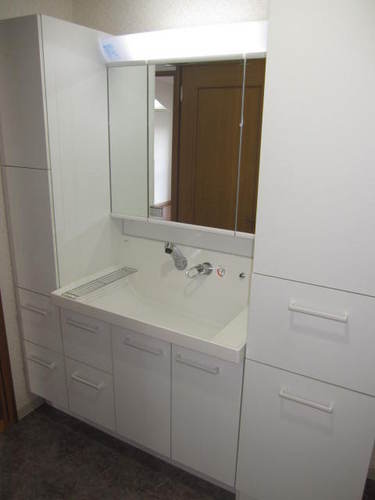 Washroom. Vanity (interior ago)