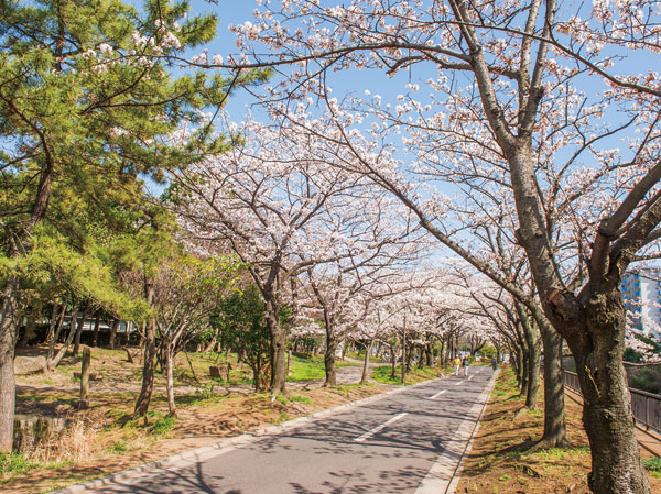 Surrounding environment. Sendai Horikawa park (3-minute walk / About 240m)