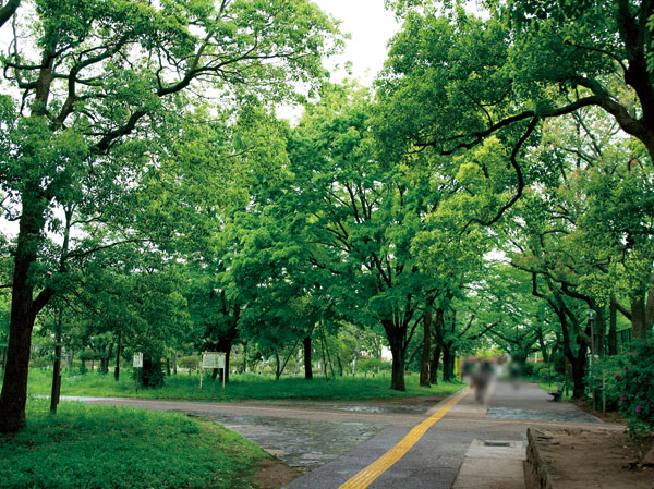 Surrounding environment. Minamisuna Third Street Park (7 min walk / About 550m)