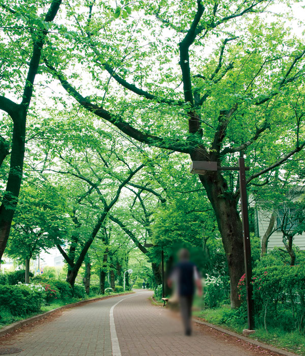 Surrounding environment. Minamisuna green road park (4-minute walk / About 300m)