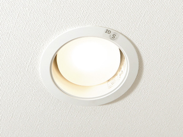 Other.  [LED lighting] It has adopted the LED lighting to down lights in the dwelling unit. (Same specifications)