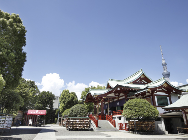 Surrounding environment. Kameido heaven shrine (about 1100m ・ A 14-minute walk)