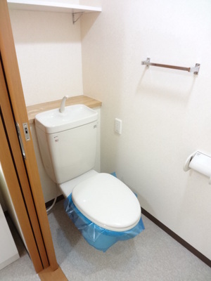 Toilet