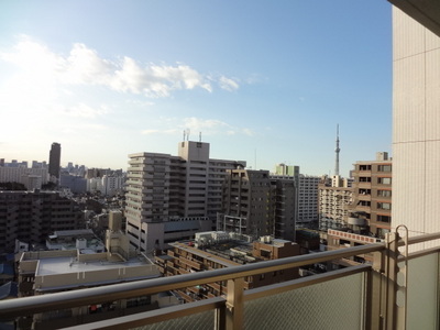 View. Sky tree looks