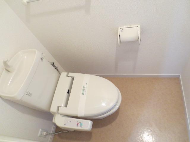 Toilet. Toilet