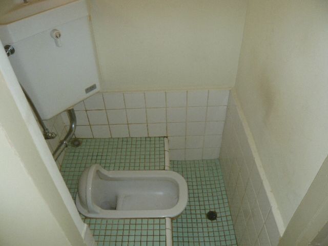 Toilet. It is a Japanese-style