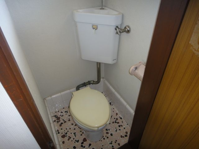 Toilet. Western style