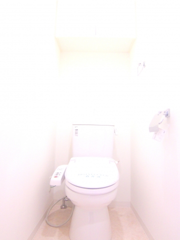 Toilet. Bidet with toilet