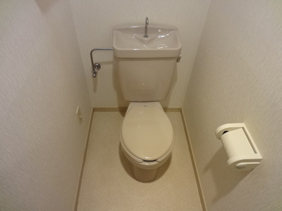 Toilet. It is another of the room image of the same type.