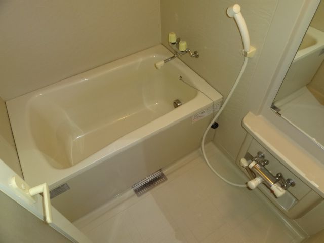 Bath. This additional heating bath