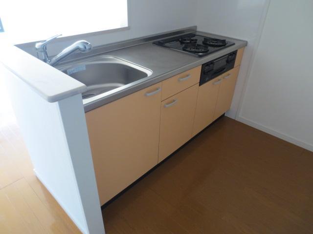 Kitchen. System kitchen