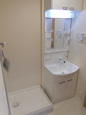 Washroom.  [Wash basin]  Image photo Shampoo dresser