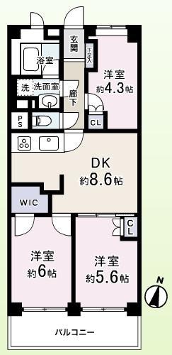 Floor plan. 3DK, Price 26,900,000 yen, Footprint 55 sq m , Beautiful dwelling unit on the balcony area 6.5 sq m new renovation already ☆