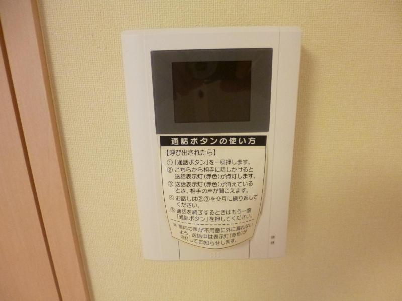 Security. Intercom with TV monitor