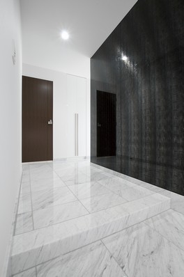 Impressive entrance hall in which the contrast of the wall, such as the marble floor and black mirror shiny worked. Size will tell the room of a private residence and spacious.