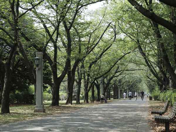 Surrounding environment. Tatsumi of forest green road park (about 620m / An 8-minute walk)