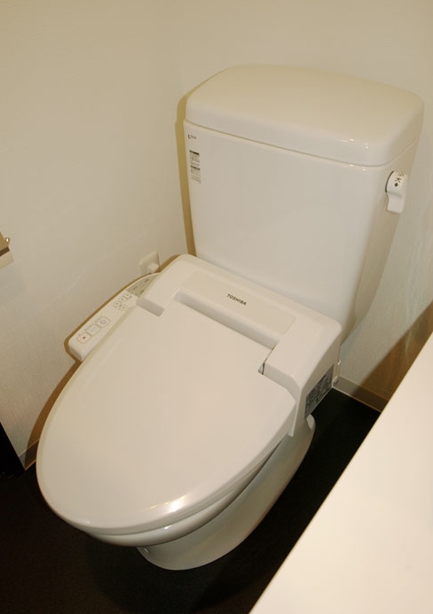 Toilet. With warm water washing toilet seat